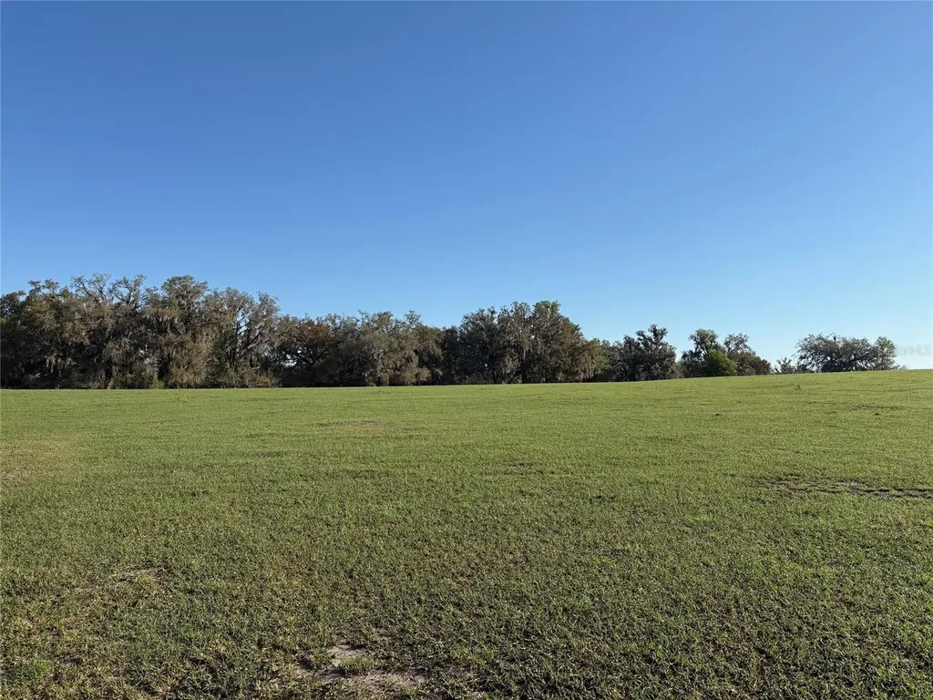 0 Citrus Way (ne Corner Of Citrus Way And Parsons Rd) Brooksville FL 34601