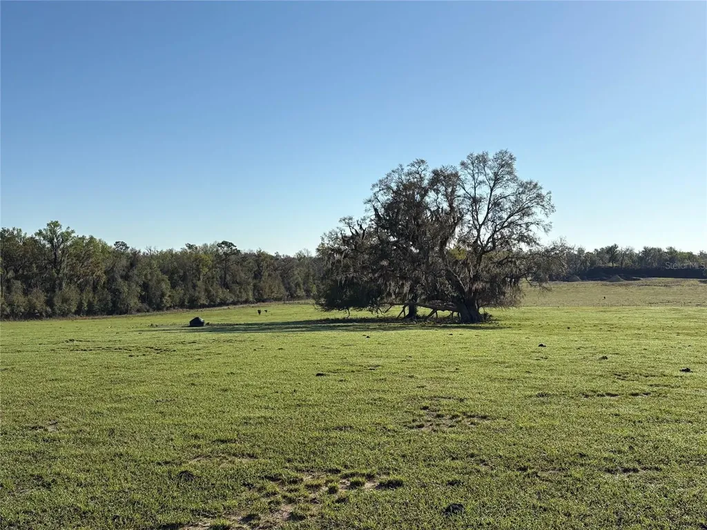 0 Citrus Way (ne Corner Of Citrus Way And Parsons Rd) Brooksville FL 34601