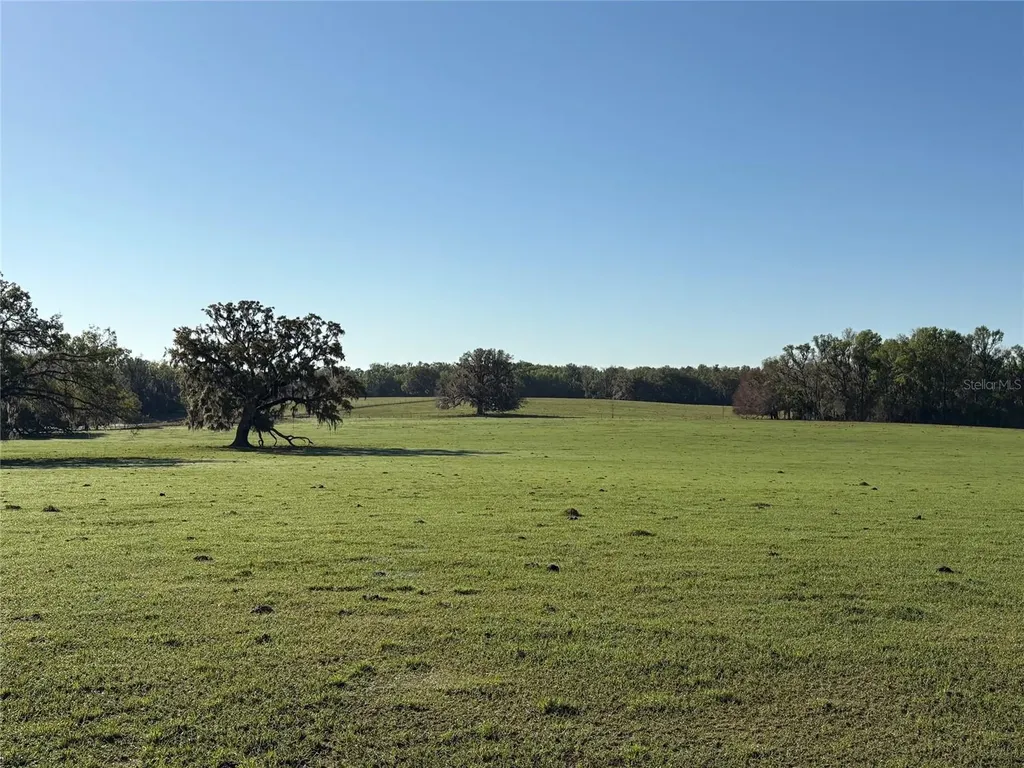 0 Citrus Way (ne Corner Of Citrus Way And Parsons Rd) Brooksville FL 34601