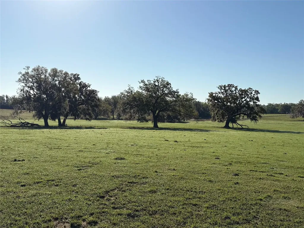 0 Citrus Way (ne Corner Of Citrus Way And Parsons Rd) Brooksville FL 34601