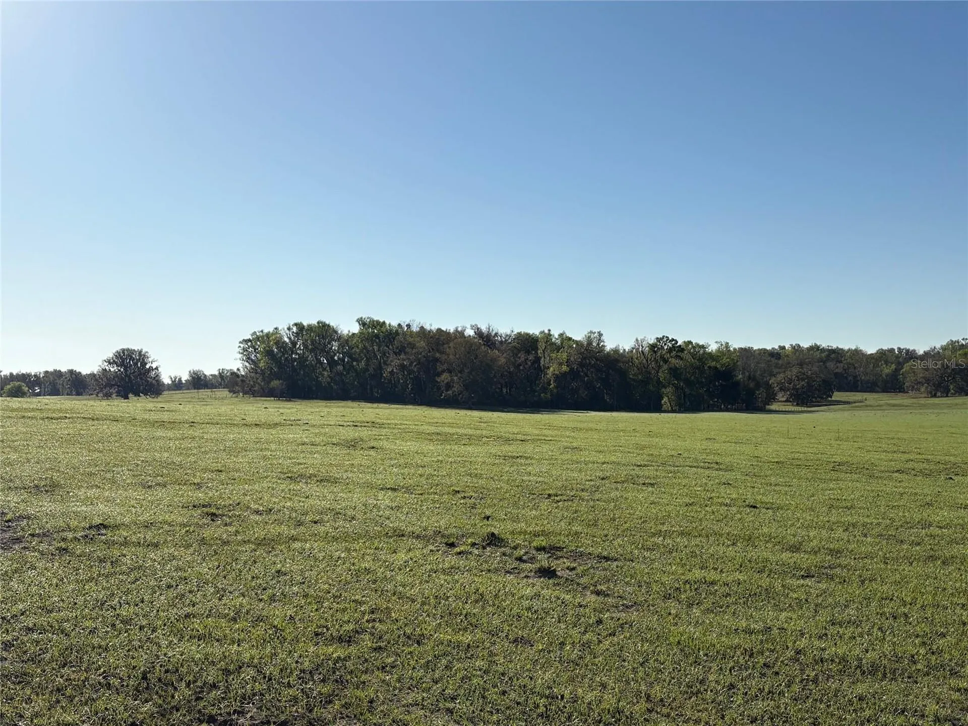 0 Citrus Way (ne Corner Of Citrus Way And Parsons Rd) Brooksville FL 34601