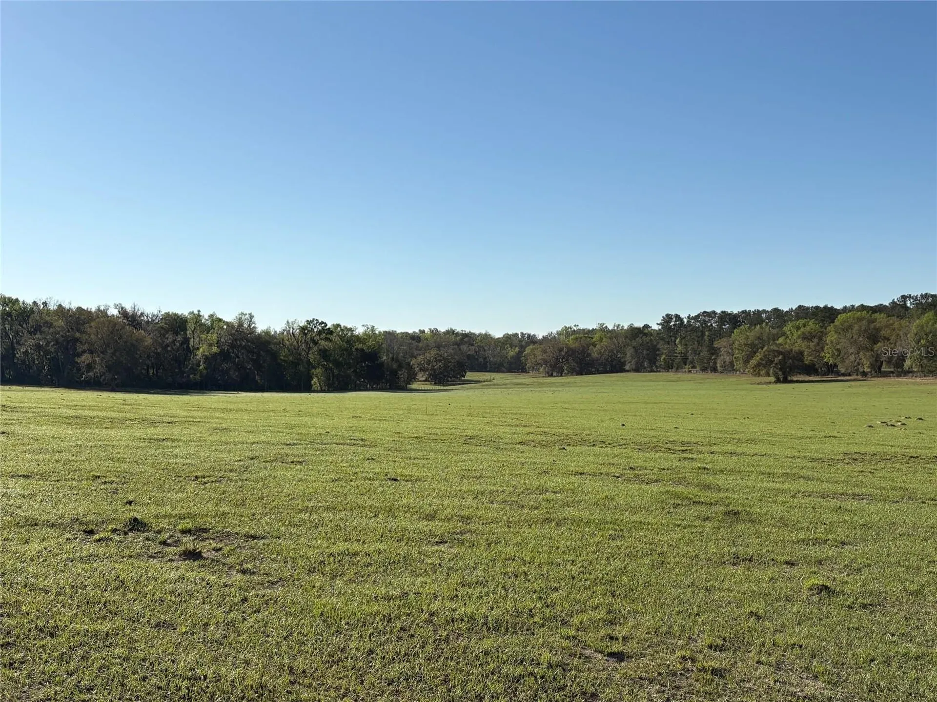 0 Citrus Way (ne Corner Of Citrus Way And Parsons Rd) Brooksville FL 34601