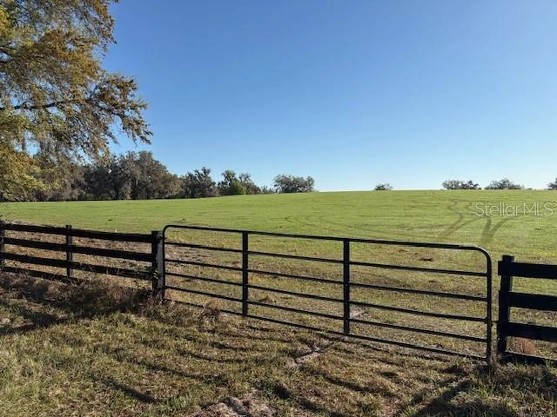 0 Citrus Way (ne Corner Of Citrus Way And Parsons Rd) Brooksville FL 34601