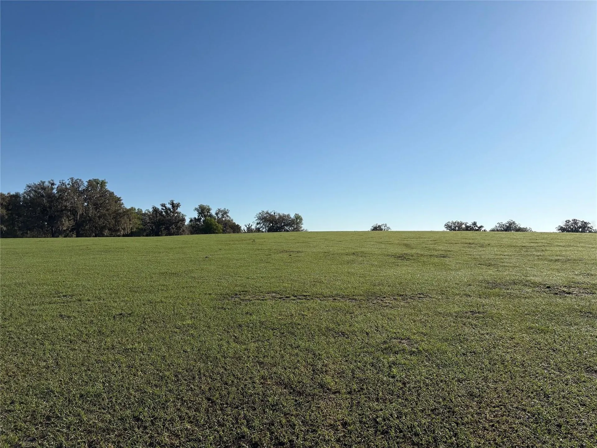 0 Citrus Way (ne Corner Of Citrus Way And Parsons Rd) Brooksville FL 34601