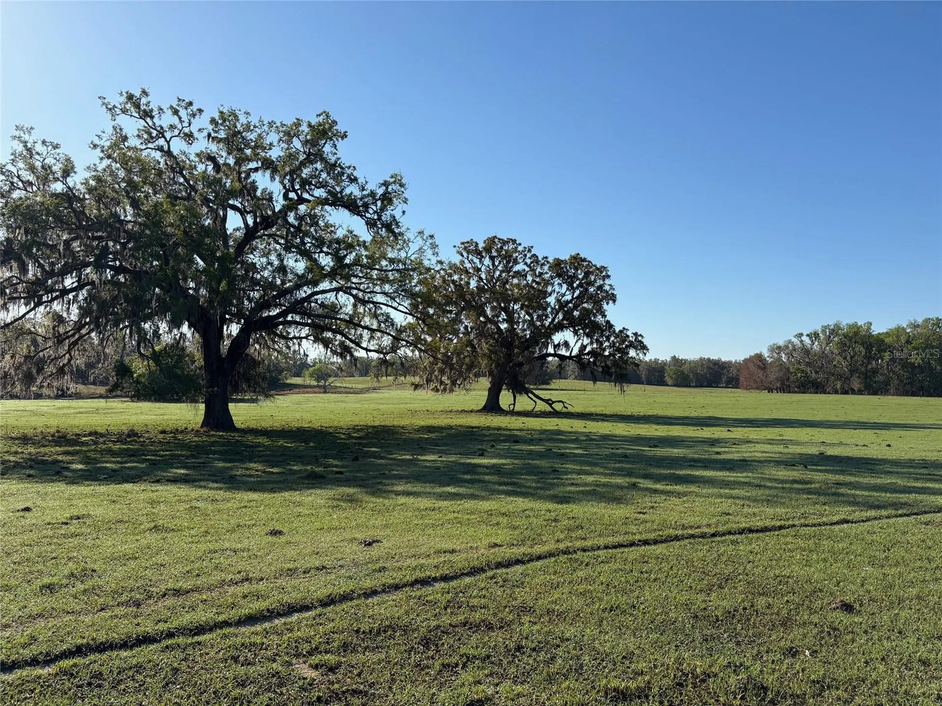 0 Citrus Way (ne Corner Of Citrus Way And Parsons Rd) Brooksville FL 34601