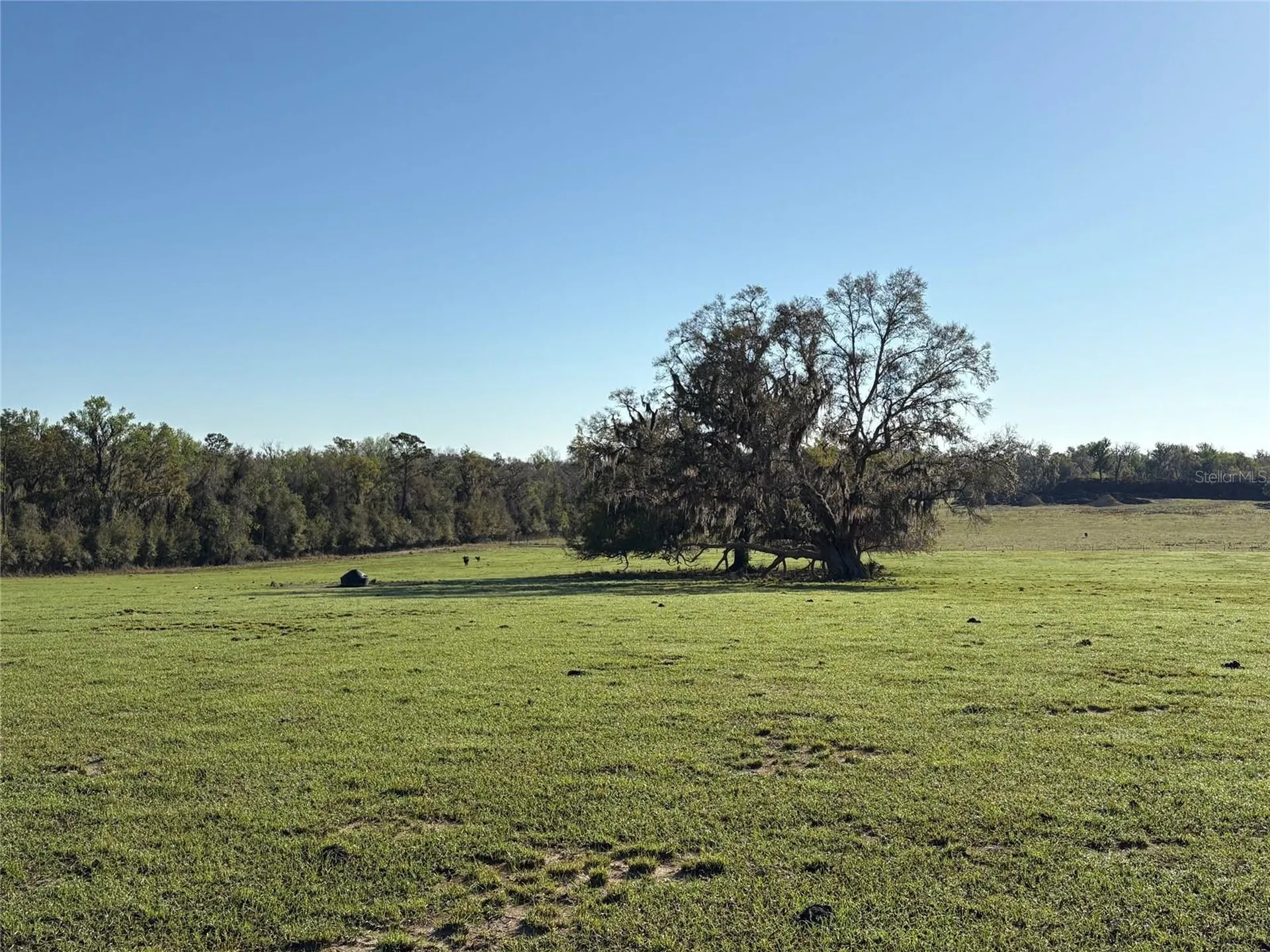 0 Citrus Way (ne Corner Of Citrus Way And Parsons Rd) Brooksville FL 34601