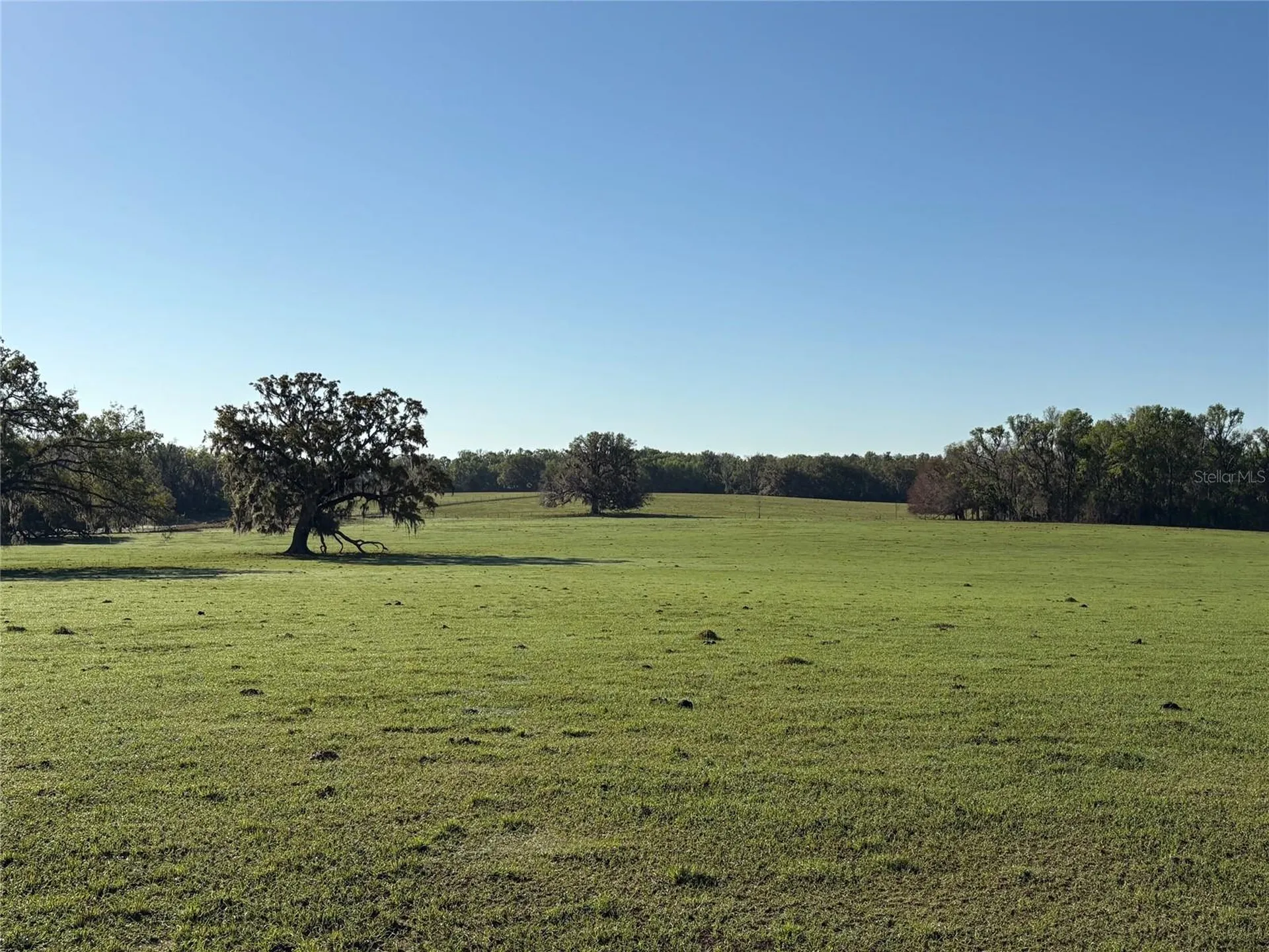 0 Citrus Way (ne Corner Of Citrus Way And Parsons Rd) Brooksville FL 34601