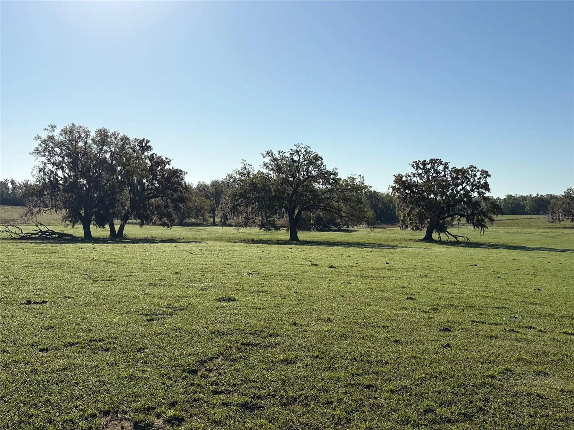 0 Citrus Way (ne Corner Of Citrus Way And Parsons Rd) Brooksville FL 34601