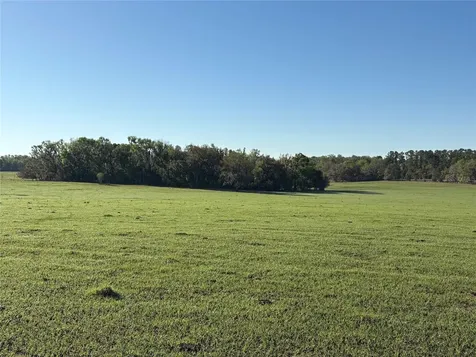 0 Citrus Way (ne Corner Of Citrus Way And Parsons Rd) Brooksville FL 34601