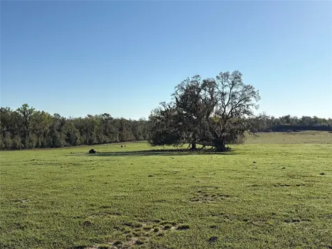 0 Citrus Way (ne Corner Of Citrus Way And Parsons Rd) Brooksville FL 34601