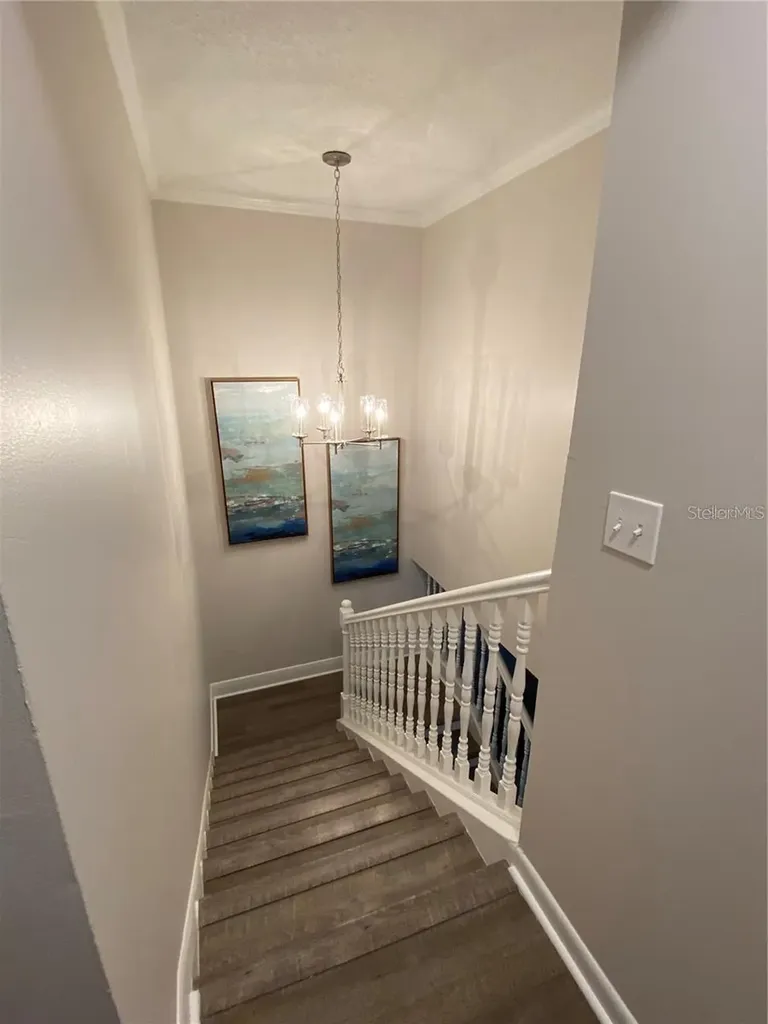 14405 Burgundy Square Tampa FL 33613