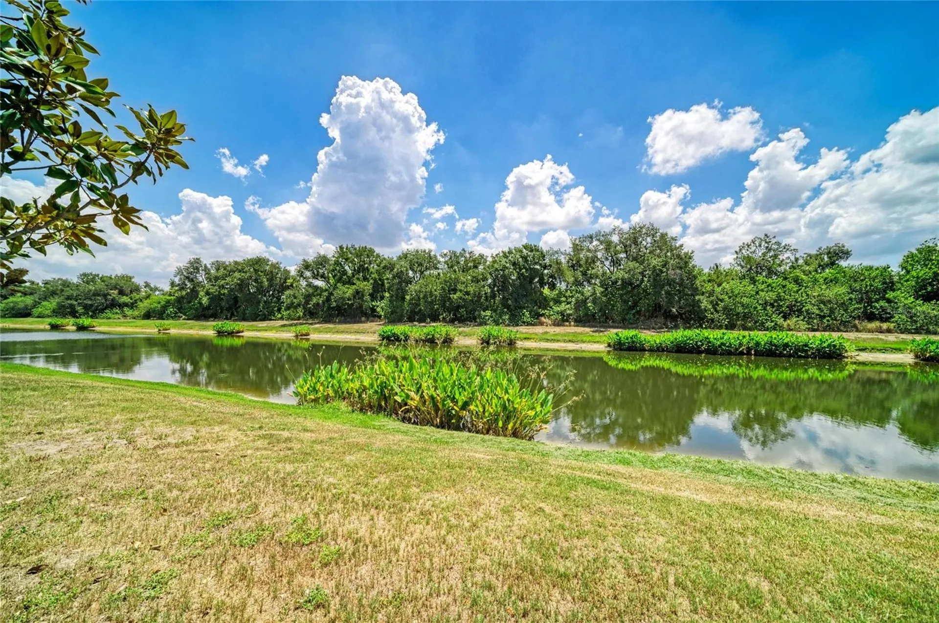 316 Star Shell Drive Apollo Beach FL 33572