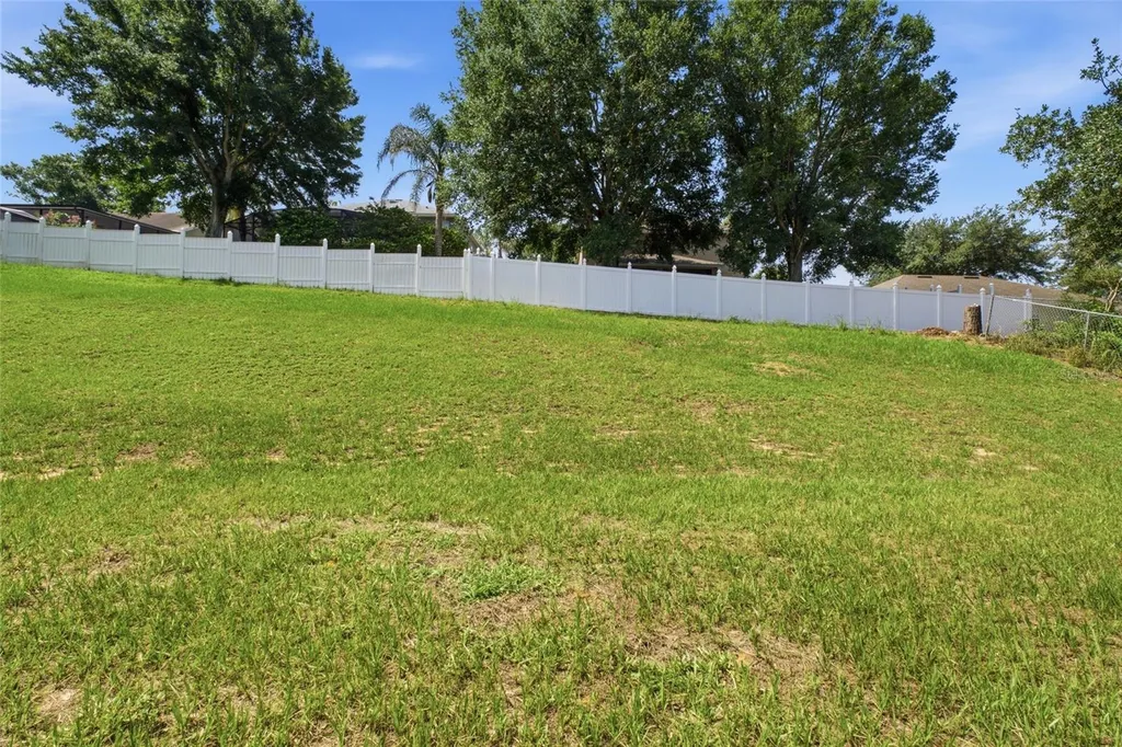 993 Scenic View Circle Minneola FL 34715