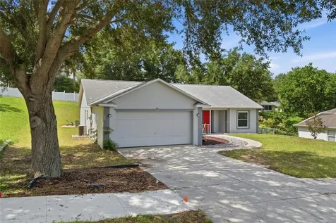 993 Scenic View Circle Minneola FL 34715
