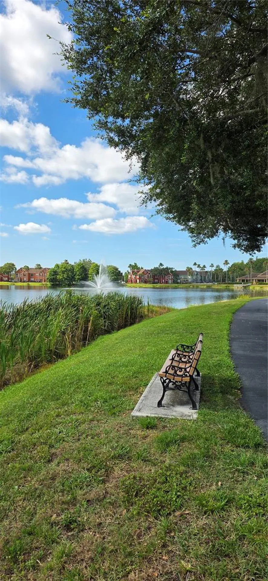 9306 Lake Chase Island Way Tampa FL 33626