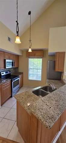 9306 Lake Chase Island Way Tampa FL 33626