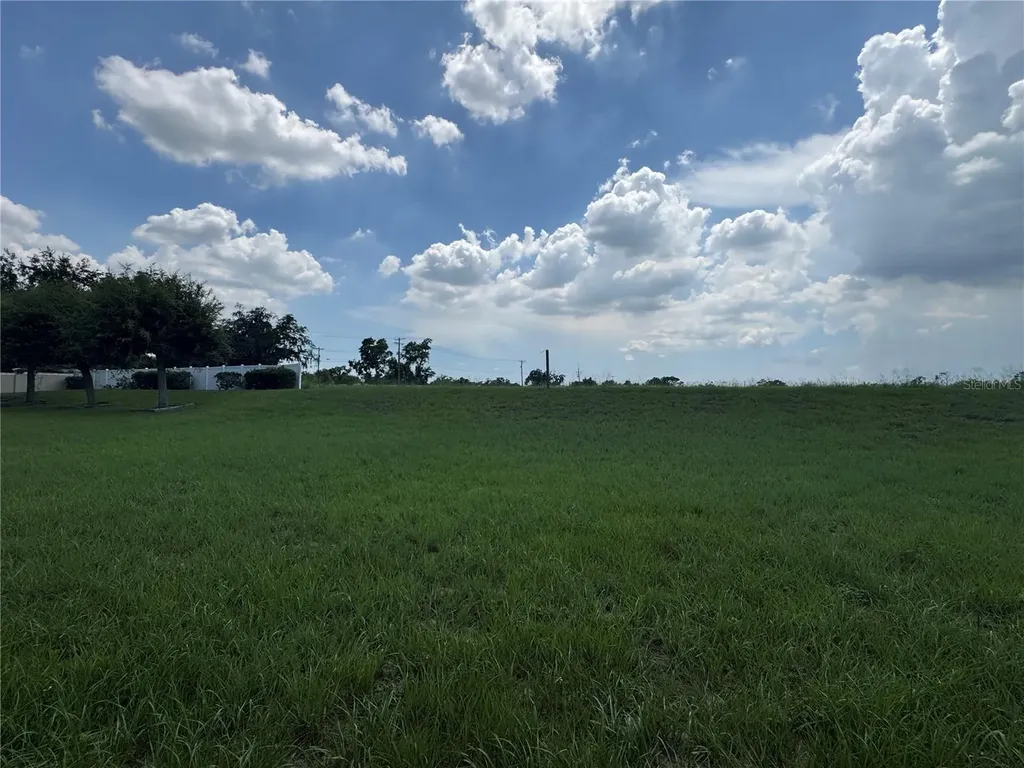 317 Down Pine Drive Seffner FL 33584