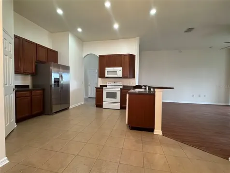 317 Down Pine Drive Seffner FL 33584