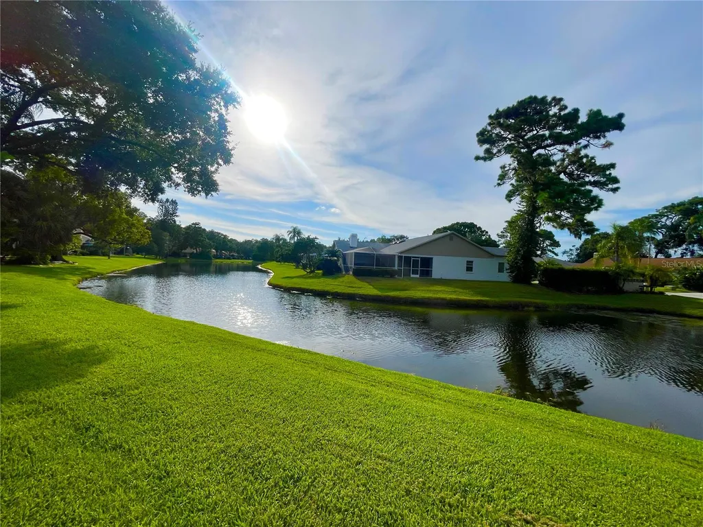 5565 Salem Square Drive N Palm Harbor FL 34685