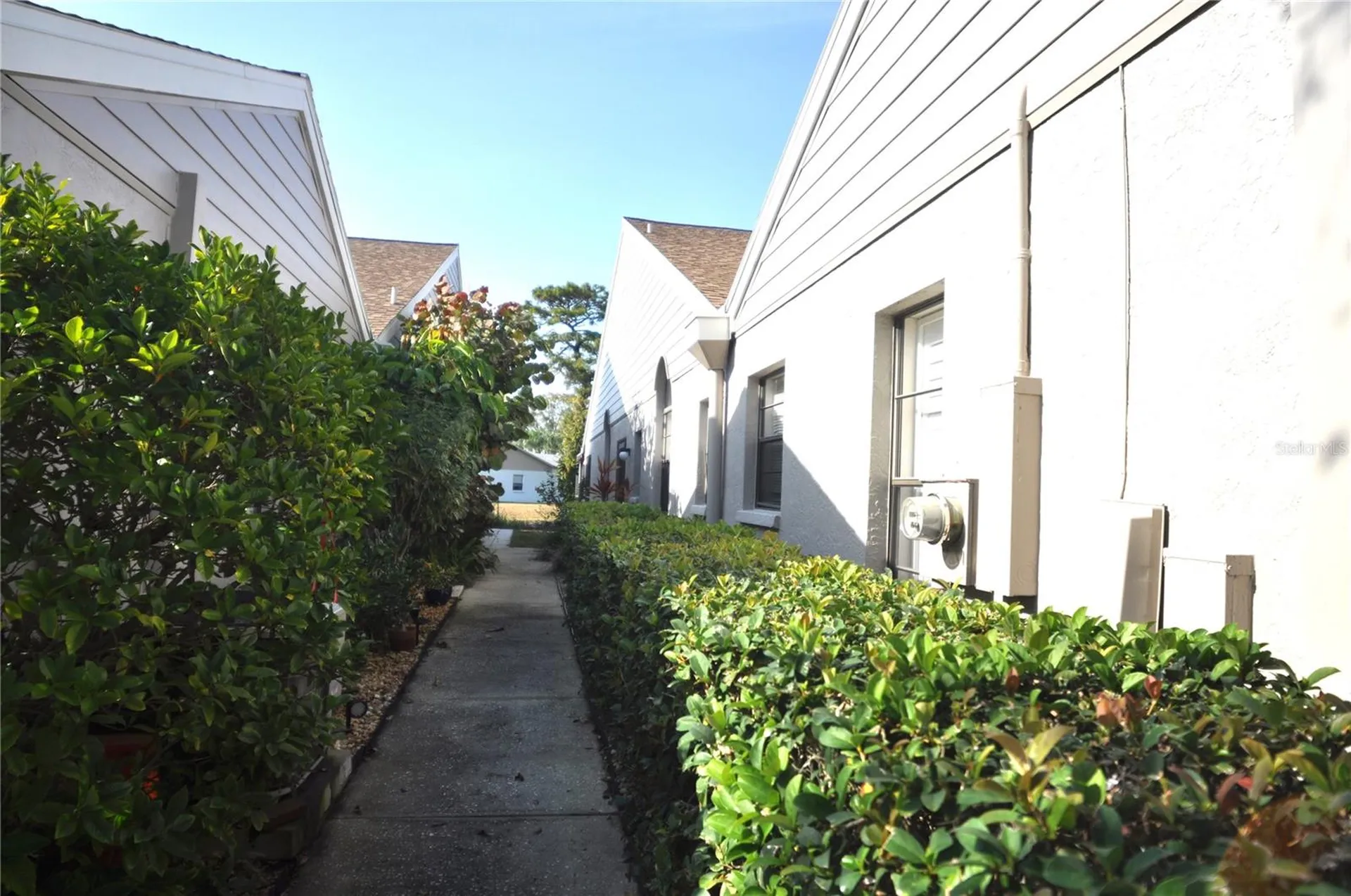 5565 Salem Square Drive N Palm Harbor FL 34685