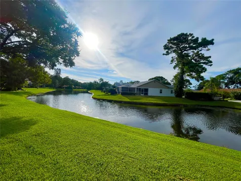 5565 Salem Square Drive N Palm Harbor FL 34685
