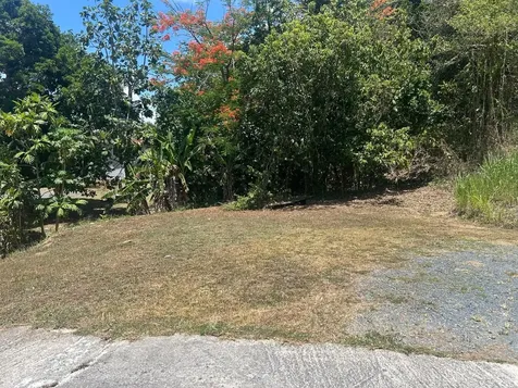 181 Km 11 Trujillo Alto PR 00976
