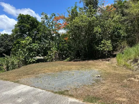 181 Km 11 Trujillo Alto PR 00976