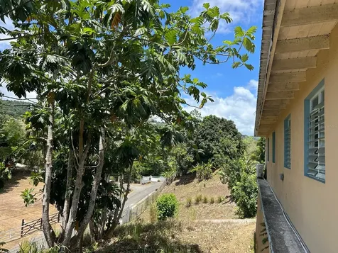 181 Km 11 Trujillo Alto PR 00976
