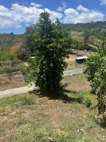 181 Km 11 Trujillo Alto PR 00976