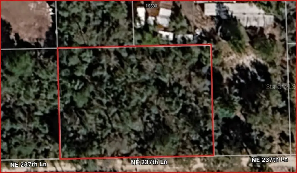 Lot 5 & 6 NE 237th Lane Fort Mc Coy FL 32134