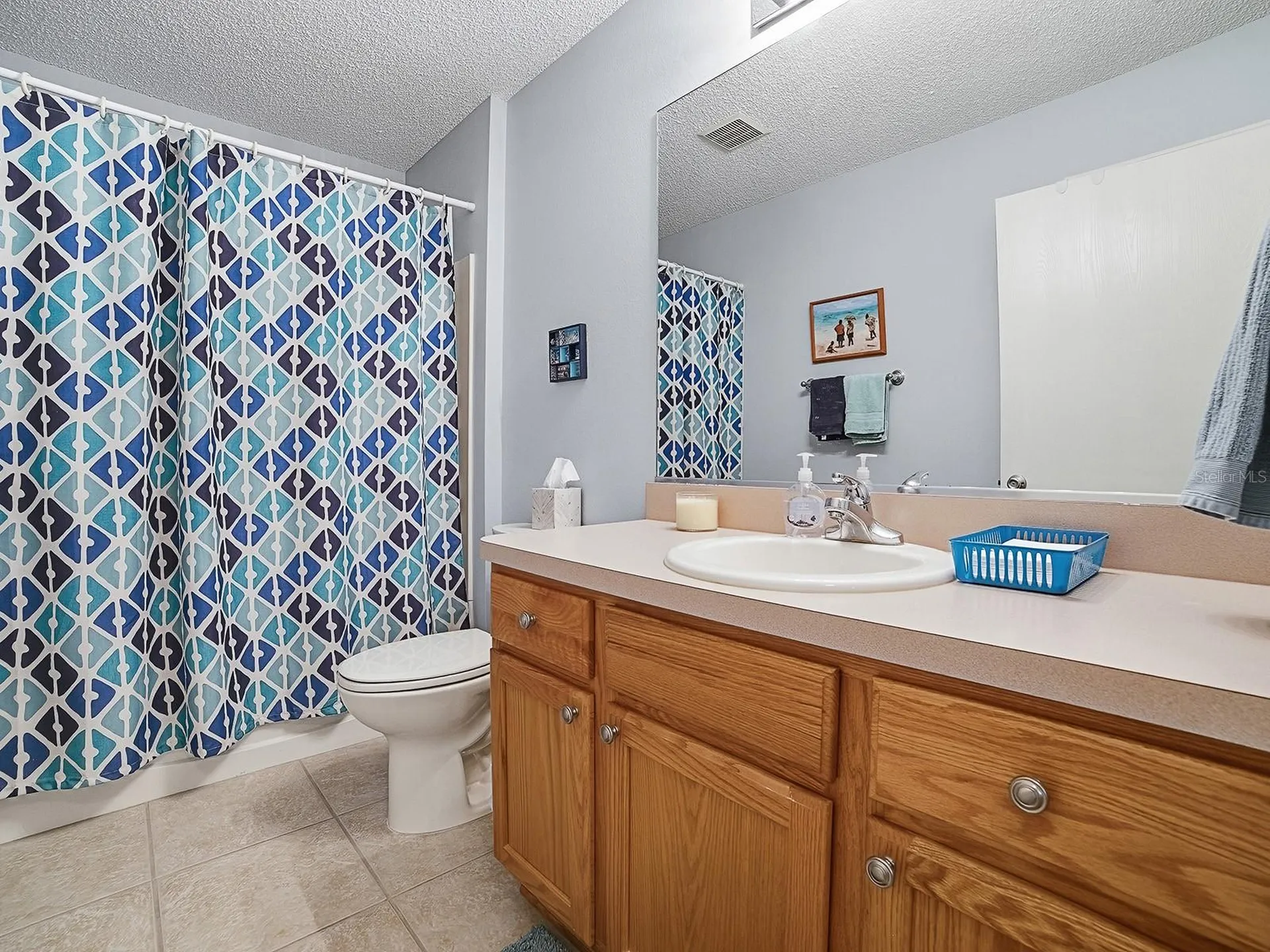 1070 Berkshire Place The Villages FL 32162