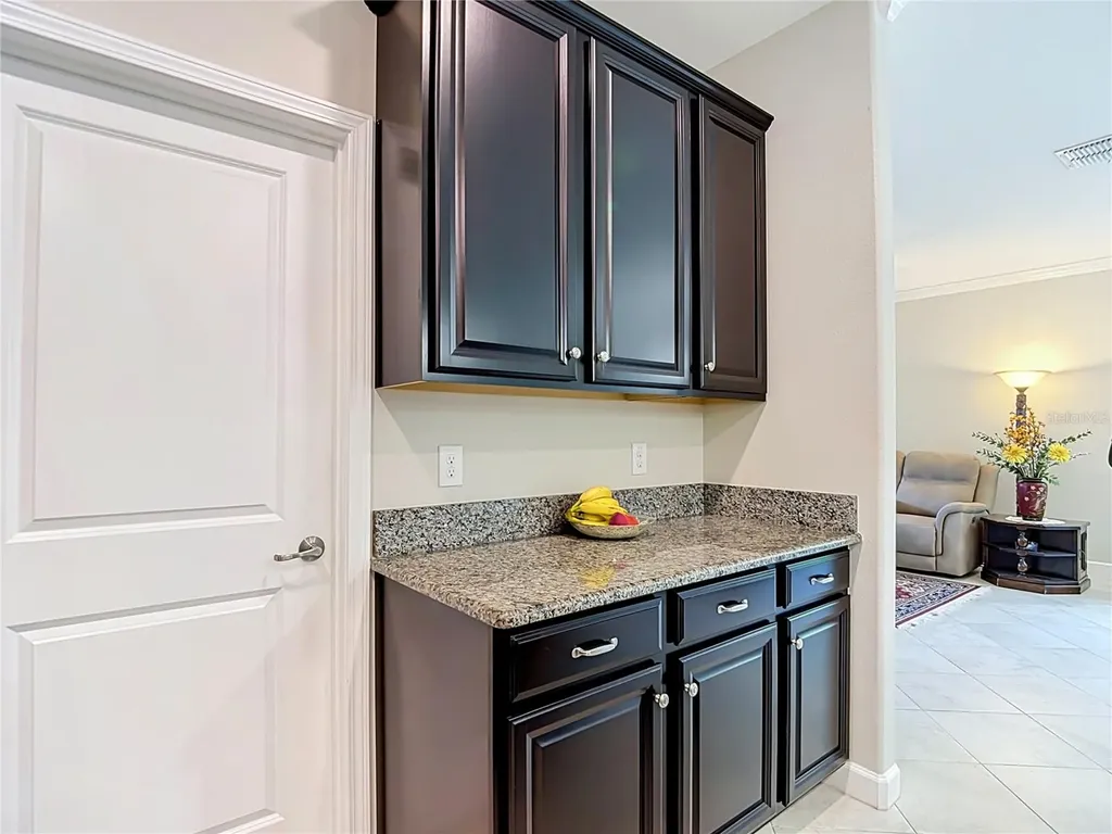 17488 Terrazzo Way Land O Lakes FL 34638
