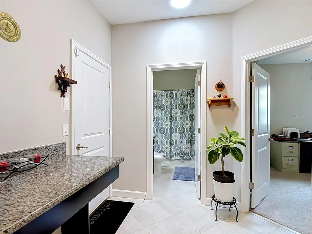 17488 Terrazzo Way Land O Lakes FL 34638