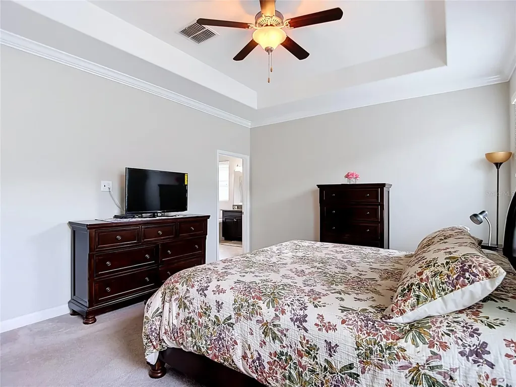 17488 Terrazzo Way Land O Lakes FL 34638