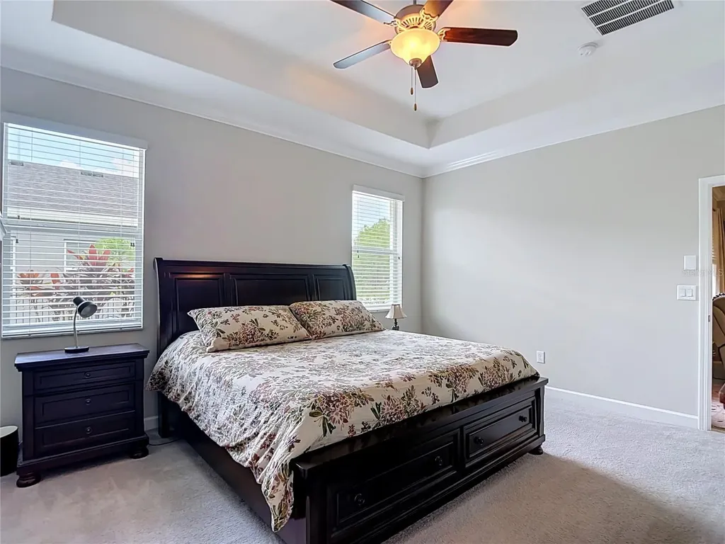 17488 Terrazzo Way Land O Lakes FL 34638