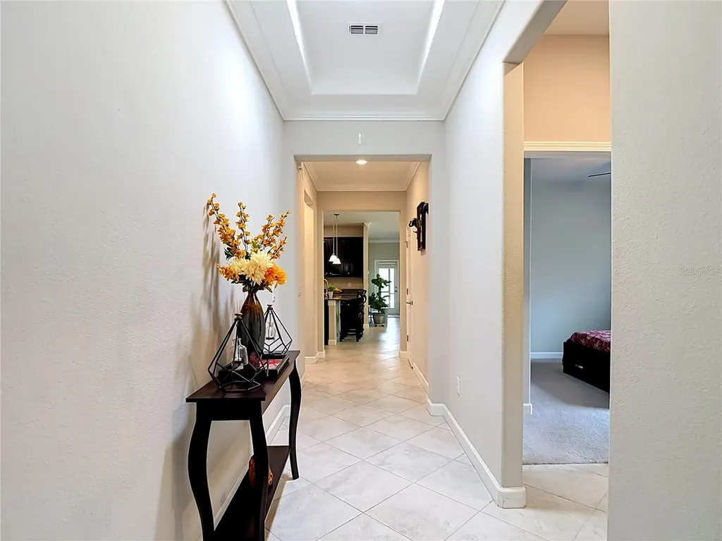 17488 Terrazzo Way Land O Lakes FL 34638