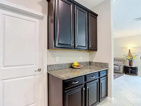 17488 Terrazzo Way Land O Lakes FL 34638
