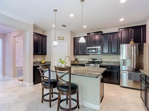 17488 Terrazzo Way Land O Lakes FL 34638
