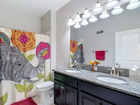17488 Terrazzo Way Land O Lakes FL 34638