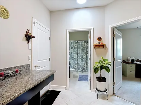 17488 Terrazzo Way Land O Lakes FL 34638