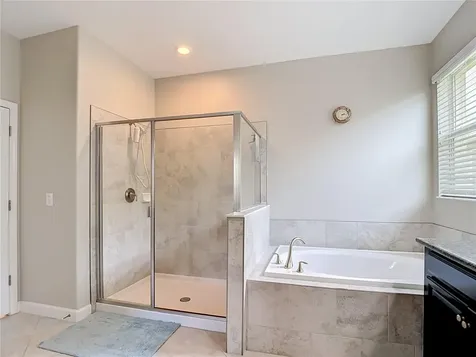 17488 Terrazzo Way Land O Lakes FL 34638