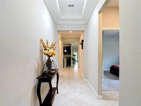 17488 Terrazzo Way Land O Lakes FL 34638