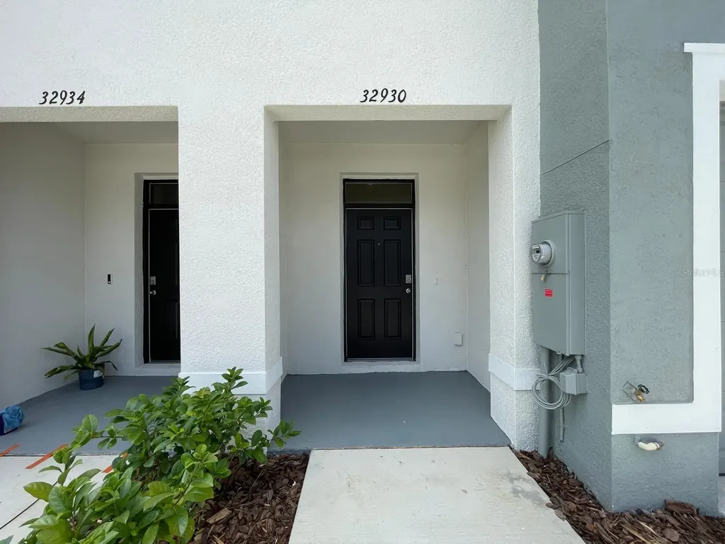 32930 Regent Canal Street Wesley Chapel FL 33545