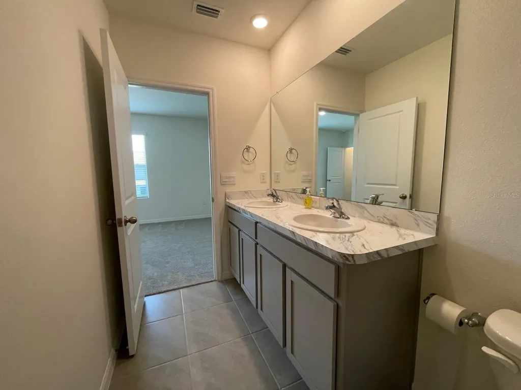32930 Regent Canal Street Wesley Chapel FL 33545