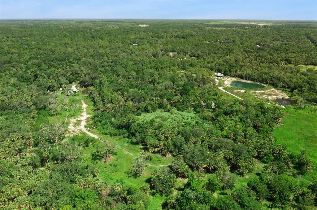 Canvasback Trail Geneva FL 32732