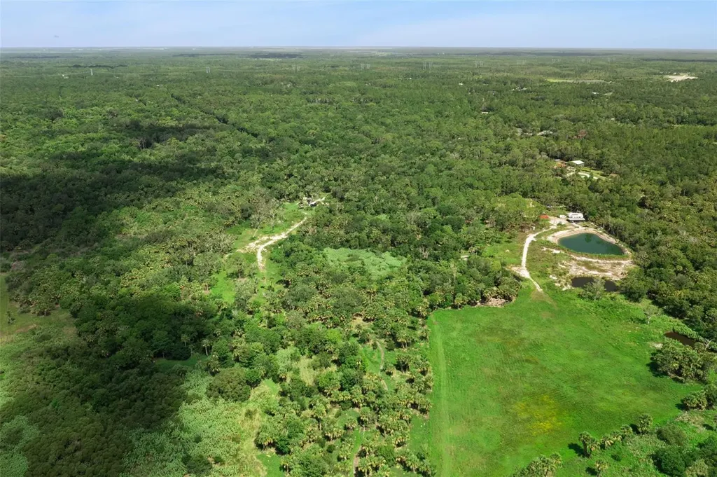 Canvasback Trail Geneva FL 32732