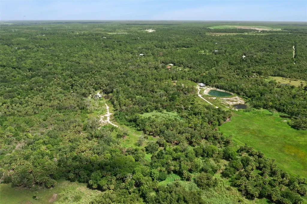 Canvasback Trail Geneva FL 32732
