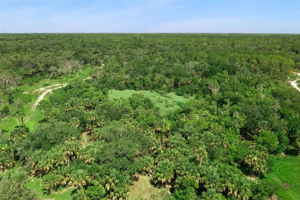 Canvasback Trail Geneva FL 32732