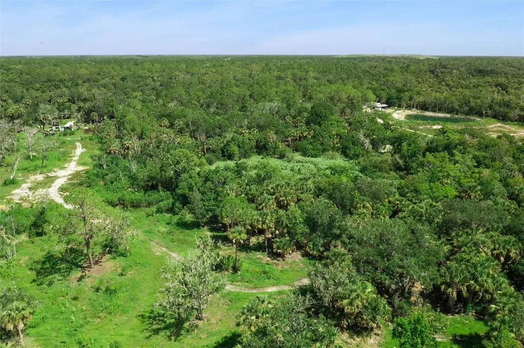 Canvasback Trail Geneva FL 32732