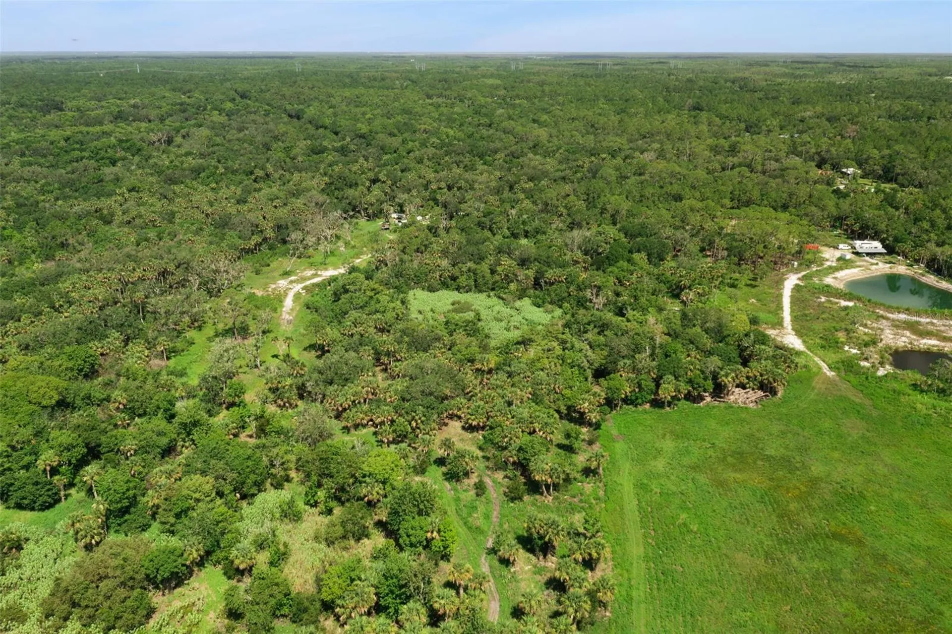 Canvasback Trail Geneva FL 32732